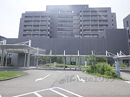 ゼハールト稲葉 102