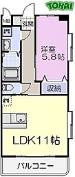 シャンティーク 305