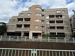 スターロワイヤル久我山