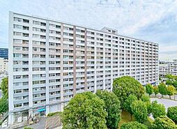 デュオ・スカーラ大島