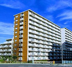 コープ野村亀戸　東棟 203