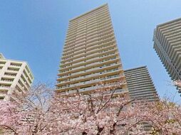 ザ・リバープレイスウエストタワー 2807