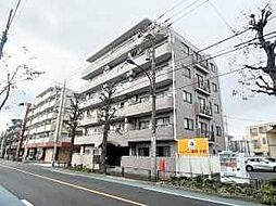 ドムール江古田 503