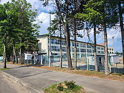 大空町10丁目貸家 1