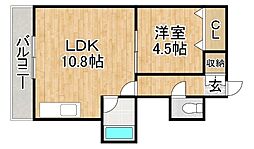Fontana（フォンタナ） 205