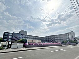 メゾンドルチェニュー真駒内