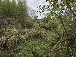 長門市 油谷蔵小田