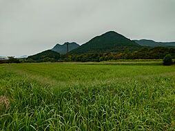 丹波市 春日町国領