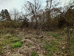 船井郡京丹波町 蒲生蒲生野