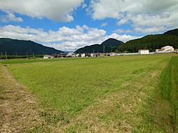 丹波市 青垣町沢野