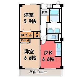 メディア―マ