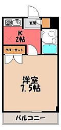 フラッツマグノリア