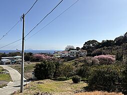 河津　稲取　売地