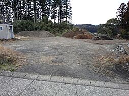 宮崎市田野町乙