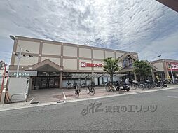 ＤＯＵＺＥ中野北 203