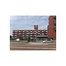 信開グランドハイツ 1111