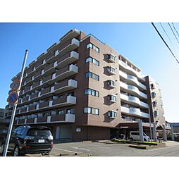 信開ウエラコート大領中 605