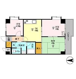 フローレンスＭＯＲＩＴＡ