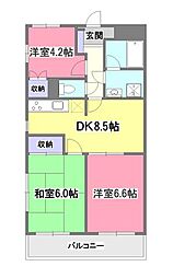 コンフォート野火止