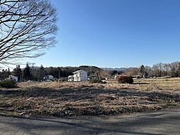 大野原字蓼沼売地