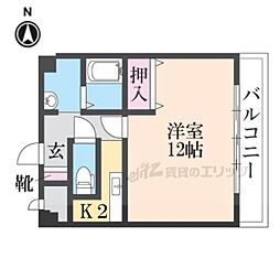 らほうれん 203