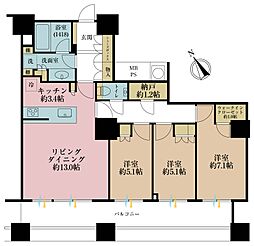 ザ・パークハウス西新宿タワー60