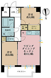 シャンピア北沢