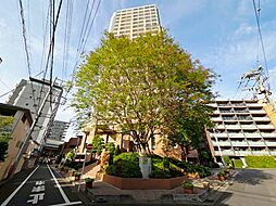 ヴィルヌーブタワー駒沢