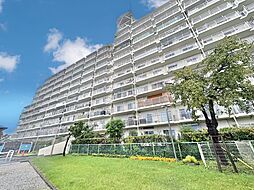 志木ハイデンス