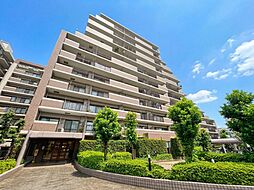 アメニクス川口