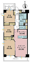 セザール蓮根