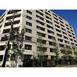 品川区東大井５丁目