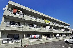 メゾンラフォーレ