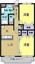 Y&Mスター 206