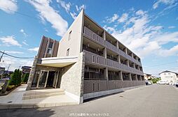 プリムローズ 205