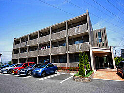 ライラック 1 105