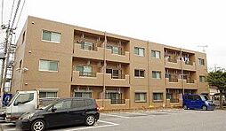 Y＆M GENTRY・AYU 101