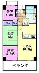 ロイヤルレザン 110