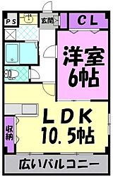ベリーコート 601