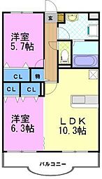 Y＆Mシルキー 105