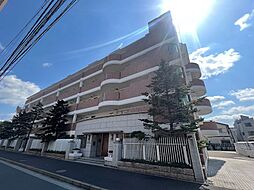 ソサエティコートクラシック（Society Court Cl