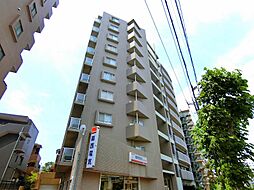 エバーグリーン