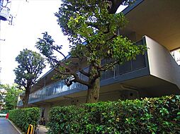 北区田端１丁目