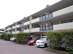 ヒルズ金剛寺池壱番館Ｂ棟 104