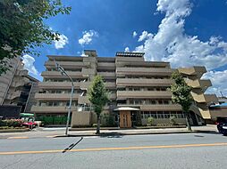 ルピナス河辺 501