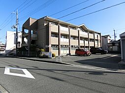 コーラル　ガーデン