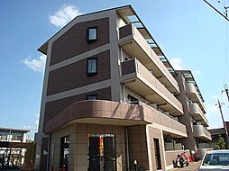 エレガンシア金剛