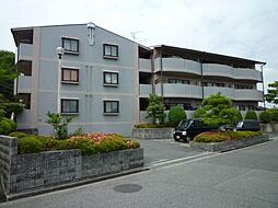 シェラ金剛