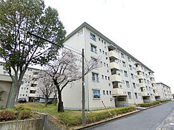 金剛第三住宅　219棟
