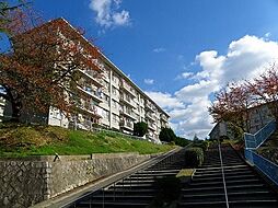 泉北茶山台第一次住宅　11号棟